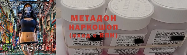 прущие грибы Абаза