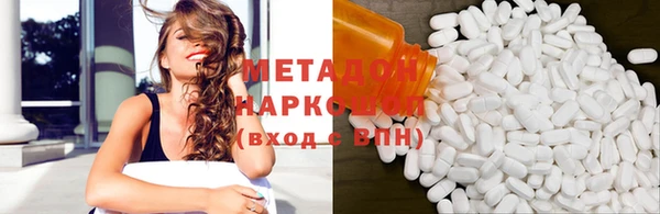 прущие грибы Абаза
