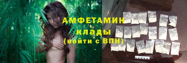 прущие грибы Абаза