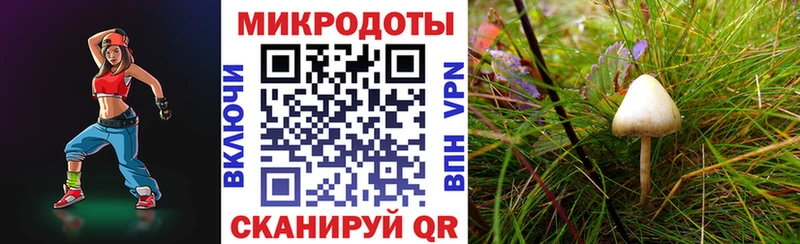 Псилоцибиновые грибы мицелий  это телеграм  Сергач  цены  